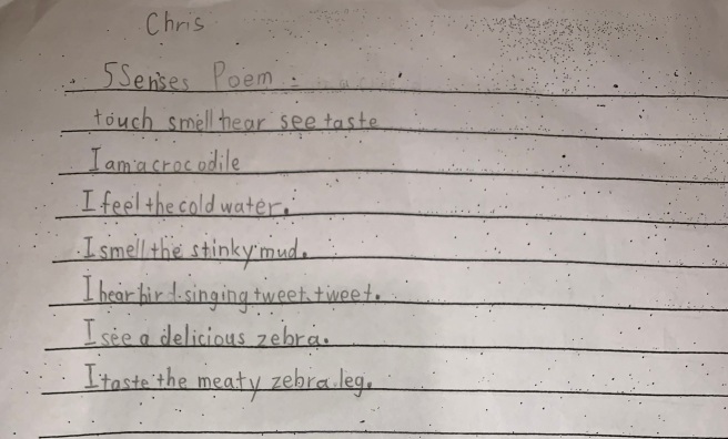 Chris 5 Senses Poem